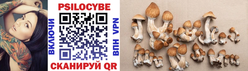 Псилоцибиновые грибы MAGIC MUSHROOMS  где купить наркоту  Дмитровск 