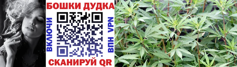 Каннабис план Дмитровск