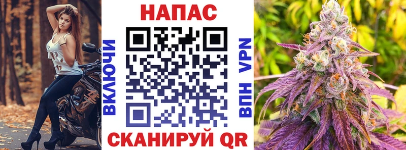 Конопля OG Kush  Дмитровск 